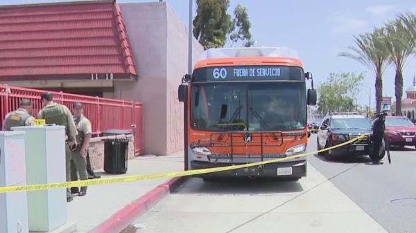 伦斯特高级俱乐部莫吉决赛:迪克斯伯勒寻求最后的救赎 伦斯特高级俱乐部莫吉决赛:迪克斯伯勒寻求最后的救赎