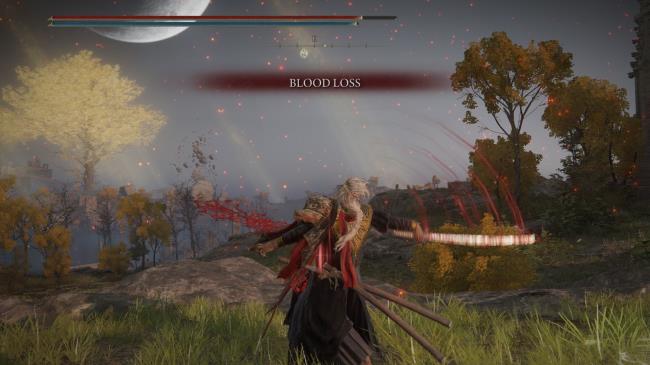 Seppuku Ash of War in action Elden Ring