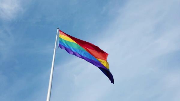 辅助神器“旺旺麻将开挂器”(原来确实是有挂)