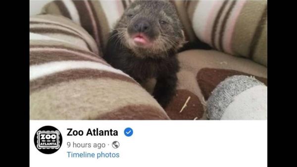 玩家必看教程“微乐春天扑克怎么才会赢”(原来确实是有挂)