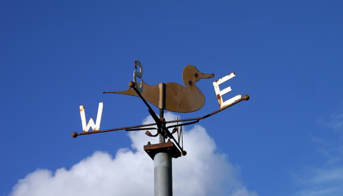 玩家必看教程“青鸟大厅辅助怎么开”(曝光透视必备猫腻) 玩家必看教程“青鸟大厅辅助怎么开”(曝光透视必备猫腻)