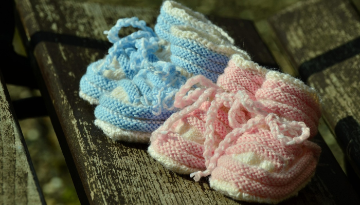 双胞胎的类型：同卵，异卵和更多