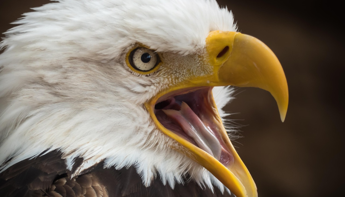 因以色列-伊朗紧张局势升级,首尔股市下跌逾1.5%;韩元大幅下跌 因以色列-伊朗紧张局势升级,首尔股市下跌逾1.5%;韩元大幅下跌