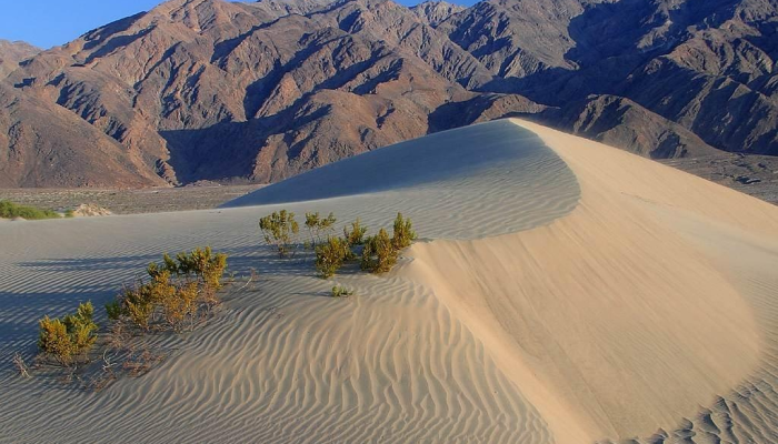 玩家必看教程“全民比鸡开挂辅助”详细开挂玩法