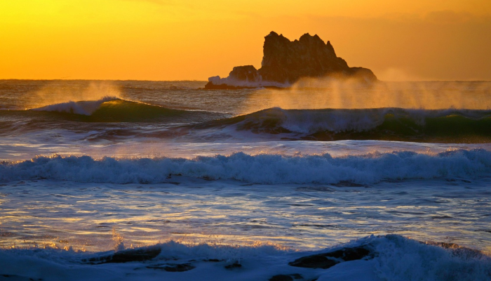照片显示,罕见的掠食者在德克萨斯州的海滩上被发现“看看它,挖!”” 照片显示,罕见的掠食者在德克萨斯州的海滩上被发现“看看它,挖!””