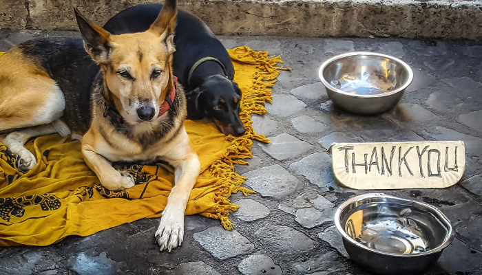 可用版本“哥哥跑得快怎么老输”其实确实有挂 可用版本“哥哥跑得快怎么老输”其实确实有挂