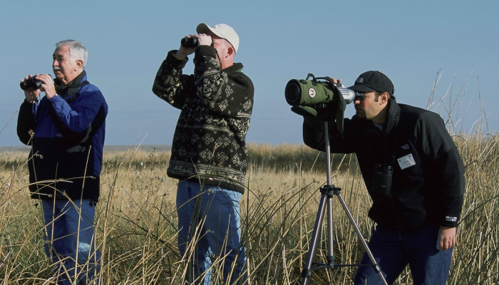 玩家辅助神器：“陕麻圈到底有没有挂”详细开挂玩法
