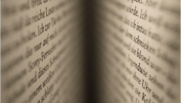 反对党将两项有争议的法案直接推至全体会议