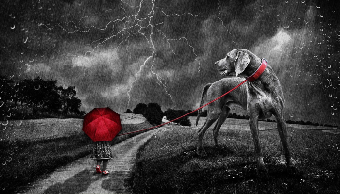 《抑制你的热情》将在第12季结束：“所以”拉里·大卫，“我向你告别”