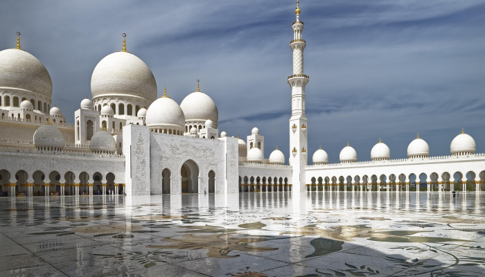 谢赫·穆罕默德见证新任命的阿联酋大使宣誓 谢赫·穆罕默德见证新任命的阿联酋大使宣誓