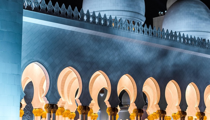 谢赫·穆罕默德见证新任命的阿联酋大使宣誓 谢赫·穆罕默德见证新任命的阿联酋大使宣誓