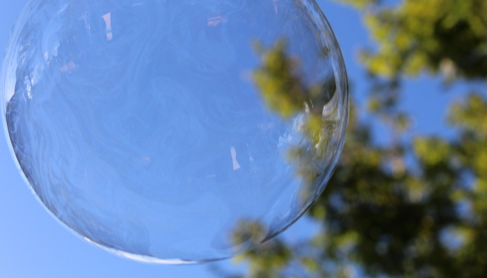 从根本上改变了以前的想法——两种蜜蜂合二为一了