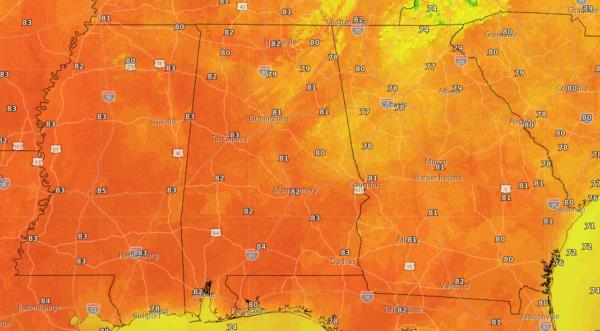 创作者吹响了“Tsubasa队长”足球漫画的终场哨子