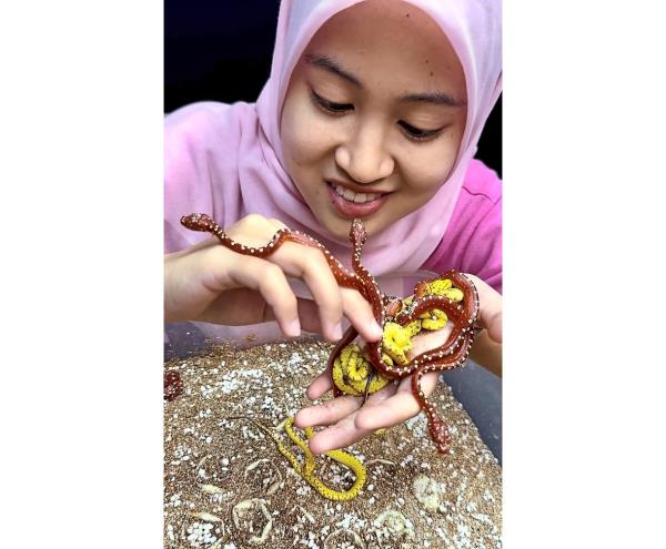 实测辅助“牵手跑得快能不能开挂!详细分享装挂步骤 实测辅助“牵手跑得快能不能开挂!详细分享装挂步骤