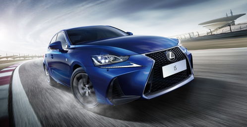 1分钟学会“微乐斗地主万能透视”详细开挂玩法 1分钟学会“微乐斗地主万能透视”详细开挂玩法