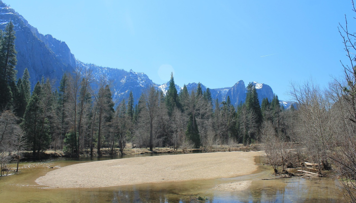 护林员警告说,有线索表明,人类并不是攀登优胜美地半圆顶的唯一物种 护林员警告说,有线索表明,人类并不是攀登优胜美地半圆顶的唯一物种