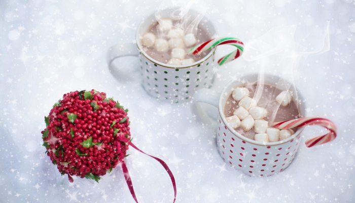 法官对佛罗里达州“不说同性恋”法案提出挑战_2