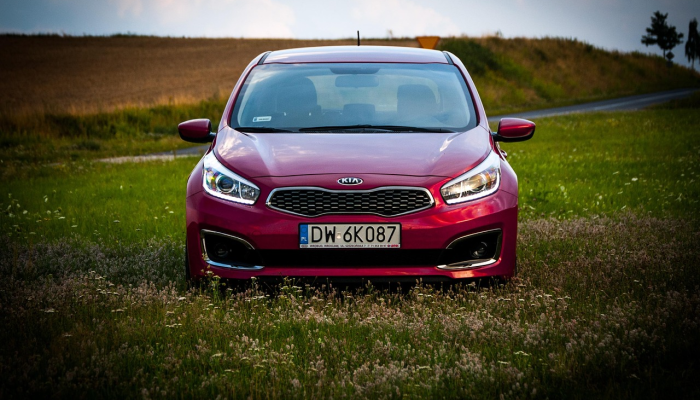 辅助神器“方片十三张开挂方法”其实确实有挂 辅助神器“方片十三张开挂方法”其实确实有挂