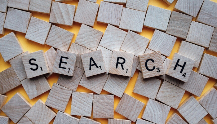 在安得拉邦的Ongole，苏铁种植是当地人的生计