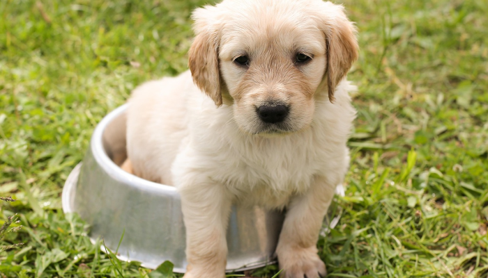 辅助神器“中至吉安王炸怎么让系统给你发好牌”开挂(透视)辅助教程 辅助神器“中至吉安王炸怎么让系统给你发好牌”开挂(透视)辅助教程