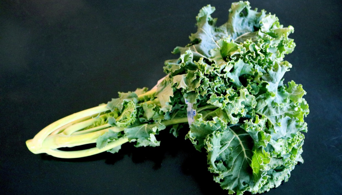 辅助神器“微乐四川麻将小程序必赢神器!分享用挂教程