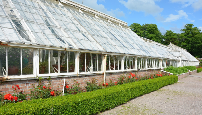 这个名为“爱尔兰第33郡”的英国小镇的居民正前往澳大利亚 这个名为“爱尔兰第33郡”的英国小镇的居民正前往澳大利亚