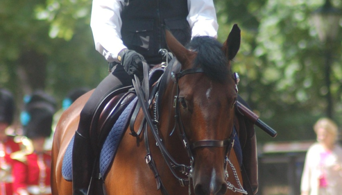 班克西作品被拆除后，伦敦警方逮捕第二名男子