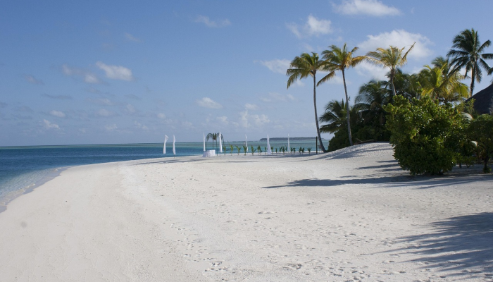 当5.1级地震袭击马尔马拉海的格姆里克湾时,土耳其居民在伊斯坦布尔发出警报 当5.1级地震袭击马尔马拉海的格姆里克湾时,土耳其居民在伊斯坦布尔发出警报