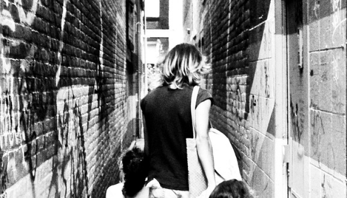 角拍：都市人眼中的鹿景