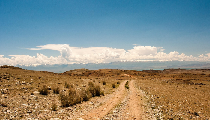 北卡罗来纳州的过山车在发生大裂缝后重新开放，该州对此进行了调查