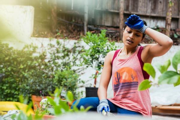 1分钟学会“北方家乡游戏有挂吗!详细分享装挂步骤