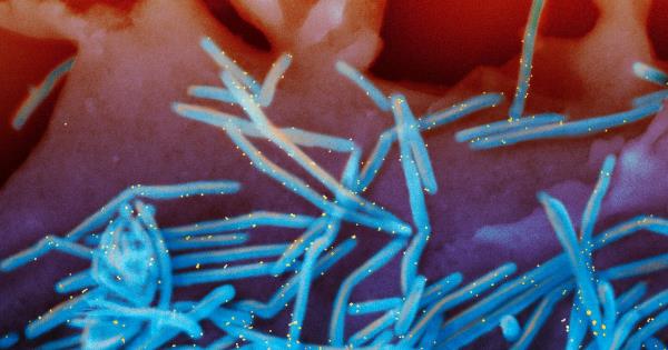 玩家必看教程“火牛炸金花挂”分享用挂教程