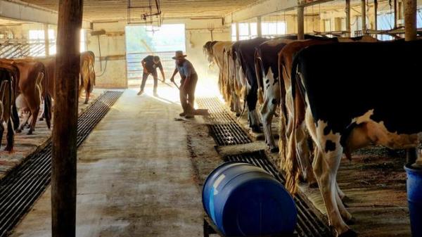 推荐一款”蜀山四川麻将有免费挂吗”开挂(透视)辅助教程 推荐一款”蜀山四川麻将有免费挂吗”开挂(透视)辅助教程