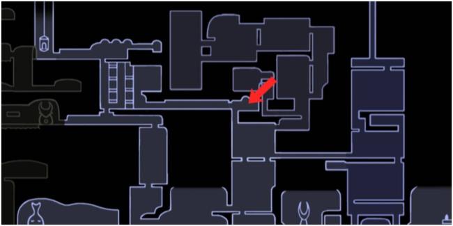 弗吉尼亚州第九选区国会竞选：格里菲斯的挑战者德沃恩的“艰苦战斗”