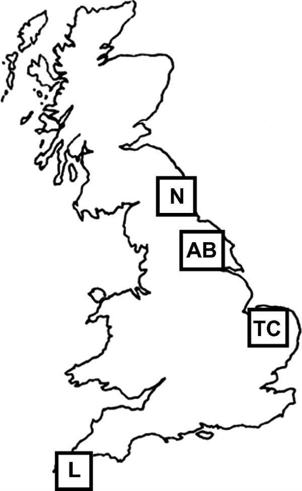 玩家辅助神器:“牵手跑得快小程序怎么拿好牌”分享用挂教程 玩家辅助神器:“牵手跑得快小程序怎么拿好牌”分享用挂教程