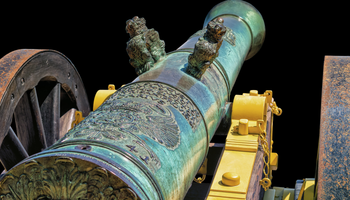 萨古鲁写道:为土壤和气候行动向枪支和子弹征税 萨古鲁写道:为土壤和气候行动向枪支和子弹征税