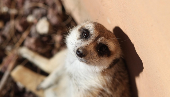 俄罗斯称击落了28架乌克兰无人机 俄罗斯称击落了28架乌克兰无人机