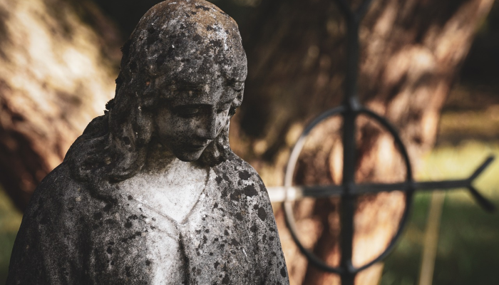 粉丝们哀悼火车站猫和网红菲利克斯的死亡 粉丝们哀悼火车站猫和网红菲利克斯的死亡