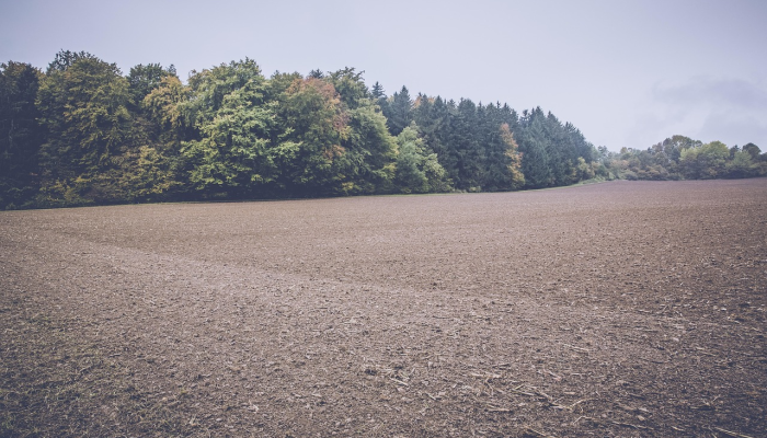 玩家必看教程“微信小程序四川麻将怎么装挂”(曝光透视必备猫腻) 玩家必看教程“微信小程序四川麻将怎么装挂”(曝光透视必备猫腻)