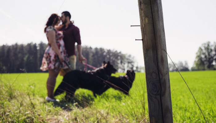 阿拉斯恐怖袭击：为什么被监视的嫌疑人没有被驱逐出境？