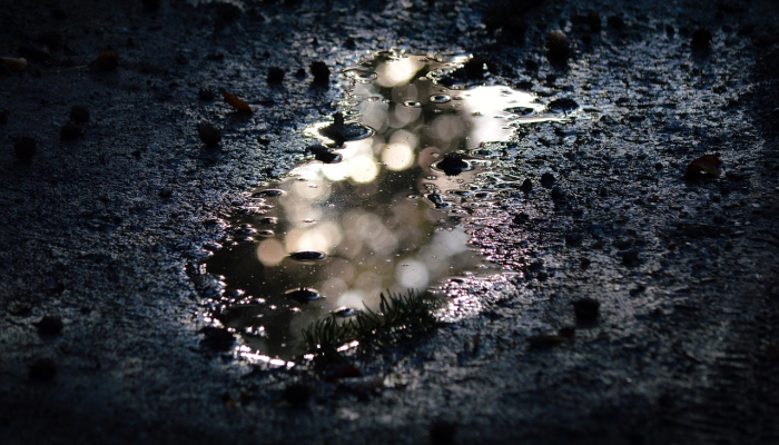 辅助神器“福建兄弟十三水怎么拿好牌!详细分享装挂步骤 辅助神器“福建兄弟十三水怎么拿好牌!详细分享装挂步骤