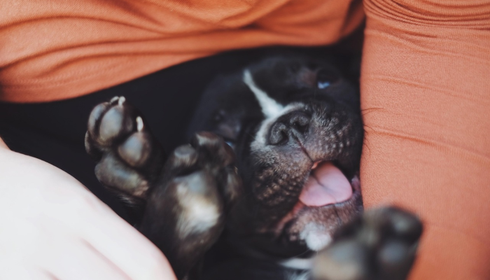 玩家必看教程“蛮籽麻将重庆开挂神器!详细分享装挂步骤
