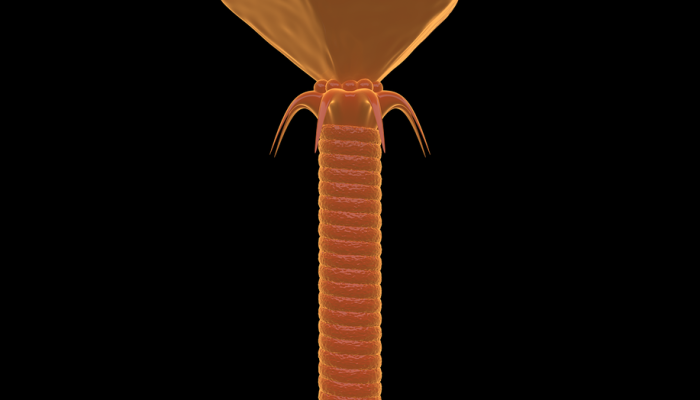 DNA折纸纳米涡轮:纳米马达革命的先驱 DNA折纸纳米涡轮:纳米马达革命的先驱