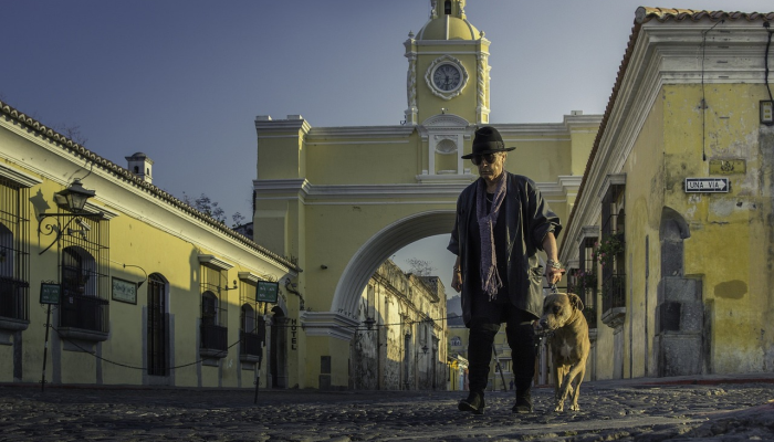 拉丁美洲和加勒比使节参加卡塔尔植树活动 拉丁美洲和加勒比使节参加卡塔尔植树活动
