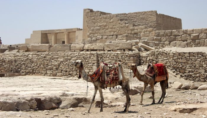 埃及政府想要清除一座历史悠久的墓地