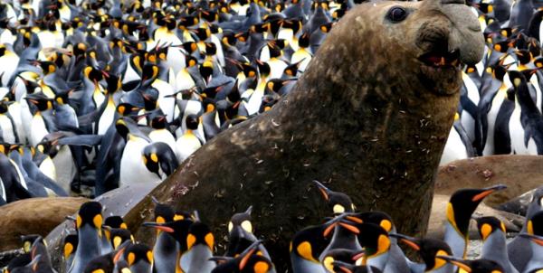 辅助神器“微乐广西麻将开挂神器”(原来确实是有挂) 辅助神器“微乐广西麻将开挂神器”(原来确实是有挂)