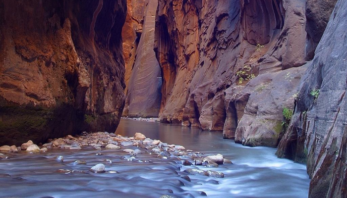 研究发现,如果路线靠近淡水和林地,公园跑步者更有可能返回 研究发现,如果路线靠近淡水和林地,公园跑步者更有可能返回