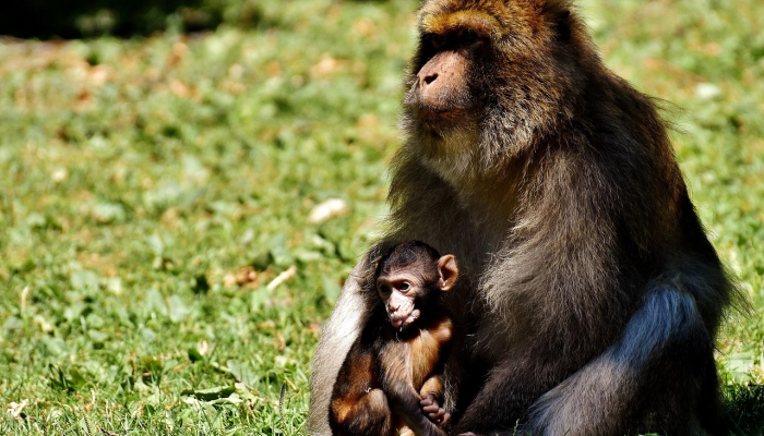 辅助神器“吉祥填大坑辅助器免费下载”分享用挂教程 辅助神器“吉祥填大坑辅助器免费下载”分享用挂教程