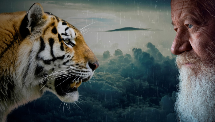 时间之轮佩兰演员解释了他与狗表演者的深厚感情：“你真的骗不了这一点”