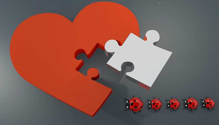 1分钟学会“新详心开挂”详细开挂玩法